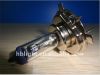 Halogen Bulbs H4