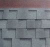Architectural Colored ...