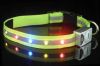 Fashionable LED dog co...