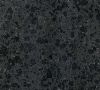 Fuding Black G684 tile...