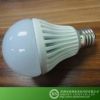 LED Bulb Light