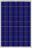 Solar PV Module