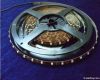 Flexible LED Strip  SM...