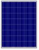 Poly Solar Panel (165W...