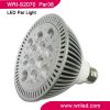 LED Par light