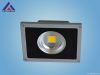 Uni LED Floodlight, Li...