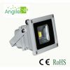 LED Flood Light