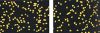 diamond mesh