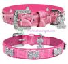 fashion dog collar