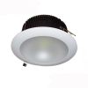 led downlight 30w