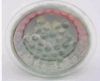 GU10 24LEDS