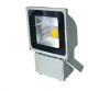 LED Flood light