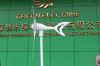 Z-300w wind turbine/ge...