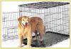 Pet Cage