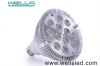 LED Par38 24W