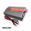 Wellsee WS-IC200 200W ...