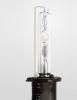 xenon bulbs