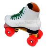 roller skate/ice/hocke...
