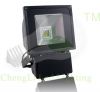 LED flood light--FS360...
