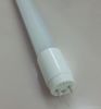 LED tubes T8
