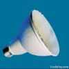 PAR Energy Saving Light