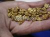 Gold Nuggets
