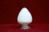 Titanium Dioxide for p...