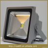 Outdoor LED Flood Light
