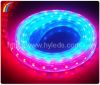 HIGH VOLTAGE LED FLEX ...