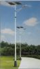 Solar street lights-502