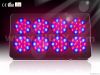 Apollo 8 led grow lights