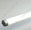 T8 fluorescent lamp