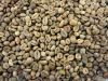  Export Green Coffee Beans | Green Coffee Bean Importer | Green Coffee Beans Buyer | Buy Green Coffee Beans | Green Coffee Bean Wholesaler | Green Coffee Bean Manufacturer | Best Green Coffee Bean Exporter | Low Price Green Coffee Beans | Best Quality Gre