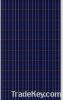 Poly Solar Module (SP6...