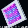LED GROW LIGHT