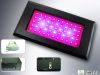 LED grow light