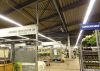 LED Linear Luminary 65...