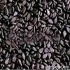 Black Sesame Seeds