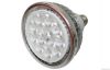 LED PAR38 light