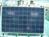 240W  Polycrystalline ...