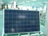 sell 280w poly solar p...
