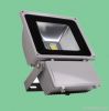 IP68 LED Flood Light 100W