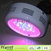 50w led grow light