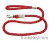 pet collar & leash