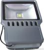 LED floodlights 100W