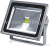 LED flood light