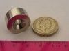 Ring Neodymium Magnet