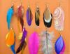 feather earrings mix s...
