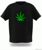 2011 New design EL fla...
