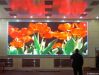 Sell LED Display Screen